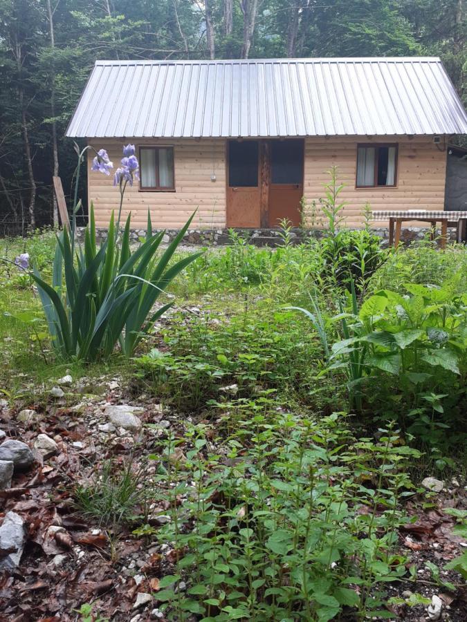 Guesthouse Dioni Valbone Exterior photo